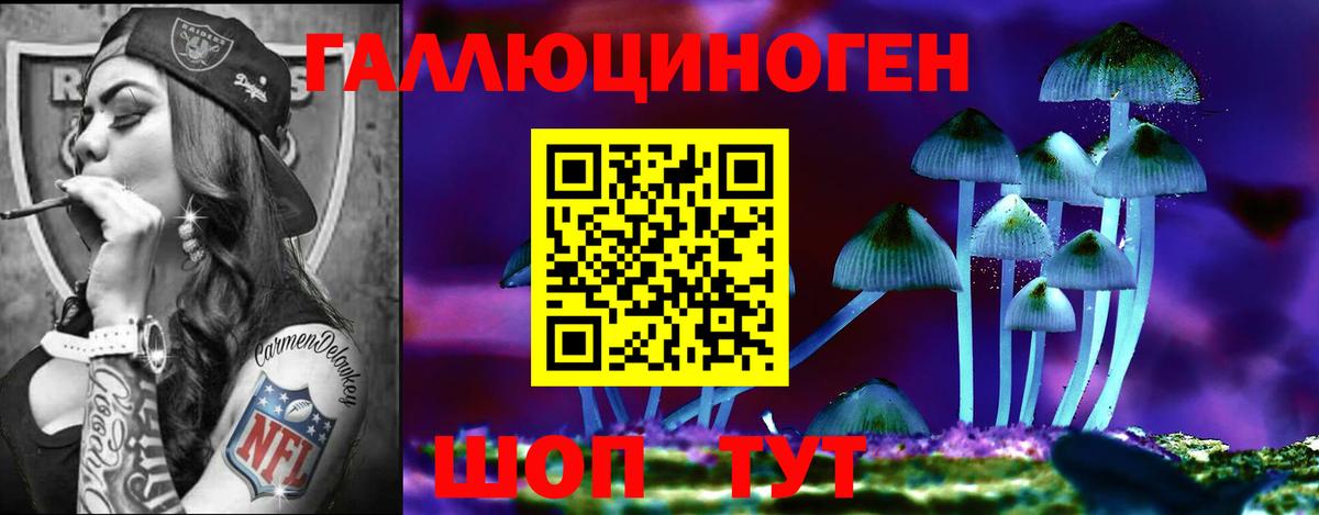 Галлюциногенные грибы Psilocybe Минусинск